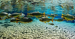 Imagem - Nobres mantém posição estratégica no Mapa do Turismo Brasileiro